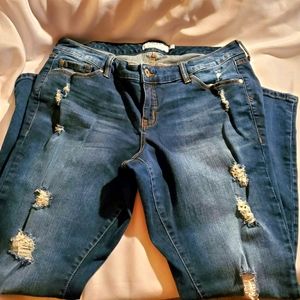 Torrid Jeans